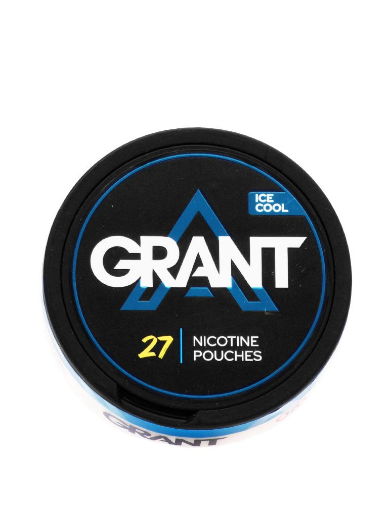 lot de 10 boite de snus grant ice cool